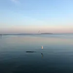 La Des Onglous